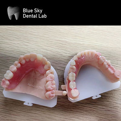 Buy Plastic Implant Procedure Cases The Ultimate Solution for Organizing and Transporting Dental Implants online manufacture