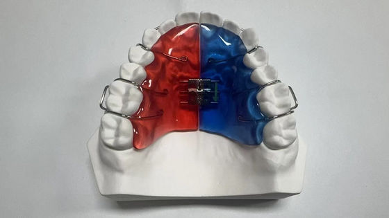 Buy 2.4 Ounces Implant Cases for Dental Sterilization Steam Sterilization online manufacture