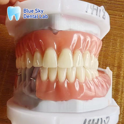 Resin Acrylic Removable Partial Denture With Clasps And Full Acrylic Denture
